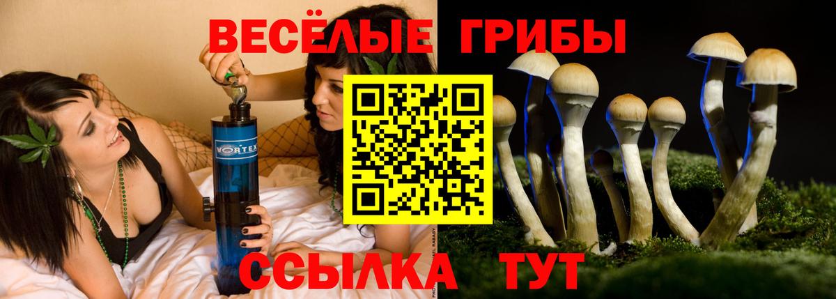Псилоцибиновые грибы Magic Shrooms  Вход с VPN  Липецк 